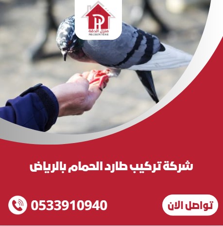 شركة تركيب طارد الحمام بالرياض